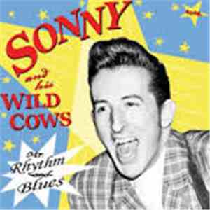 Sonny and his Wild Cows - Mr. Rhythm And Blues download flac