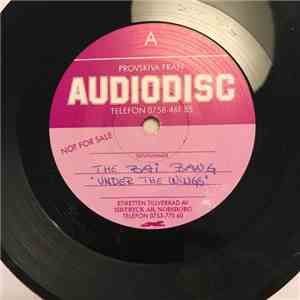The Bai Bang - Under Your Wings download flac