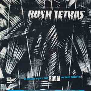 Bush Tetras - Things That Go Boom In The Night download flac