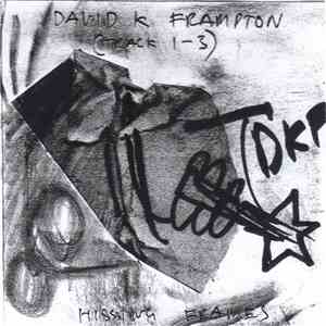 David K Frampton / Robert Ridley-Shackleton - Untitled download flac