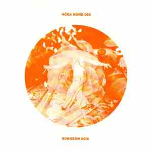 Dungeon Acid - Northern Acid/All-Nighter FLAC album