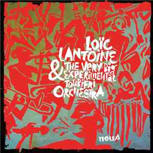 Loïc Lantoine & The Very Big Experimental Toubifri Orchestra - Nous download flac