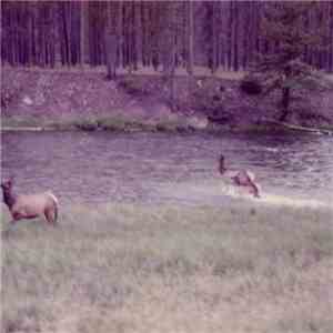 Seahaven - Ghost/Acoustic download flac