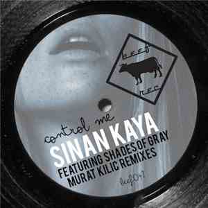 Sinan Kaya - Control Me download flac