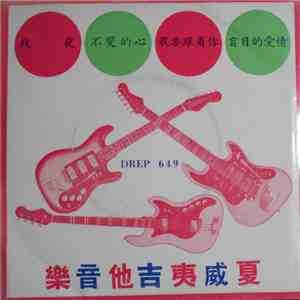 Unknown Artist - 夏威夷吉他音樂 download flac