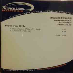 Breaking Benjamin - Polyamorous / Shallow Bay download flac