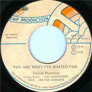 Denise Plummer - You Are What I've Waited For / Words download flac