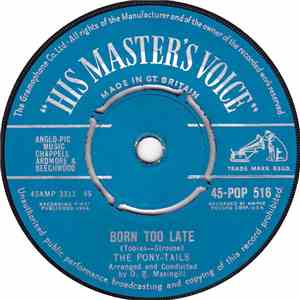 The Pony-Tails - Born Too Late download flac