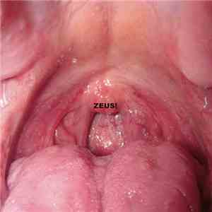 Zeus! - Zeus! download flac