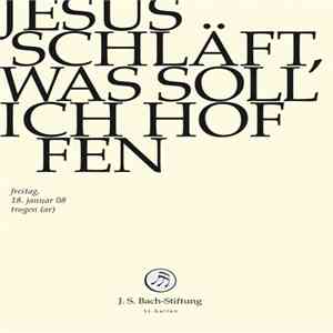 Bach – Vokal- & Instrumentalensemble Der Schola Seconda Pratica, Rudolf Lutz - Jesus Schläft, Was Soll Ich Hoffen download flac