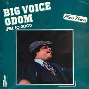 Big Voice Odom - Feel So Good download flac