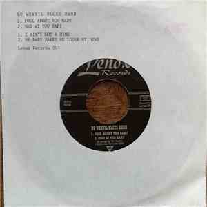 Bo Weavil Blues Band - Fool About You Baby download flac