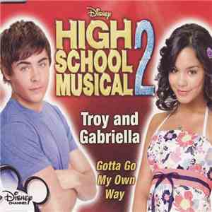 High Scool Musical 2 - Gotta Go My Own Way download flac