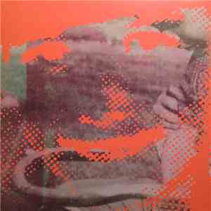 Deerhunter - Fluorescent Grey download flac