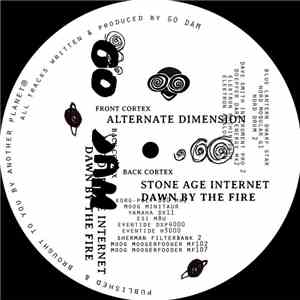 Go Dam - Alternate Dimensions download flac