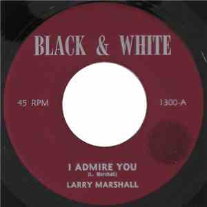 Larry Marshall / King Tubby's - I Admire You / Watergate Rock download flac
