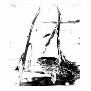 Pink Reason - Cleaning The Mirror download flac