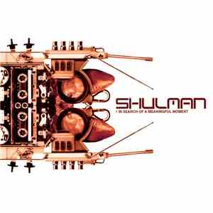 Shulman - In Search Of A Meaningful Moment download flac