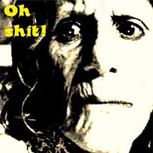 The Merricks  - Oh Shit! download flac