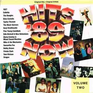Various - Hits Now '89 Volume 2 download flac