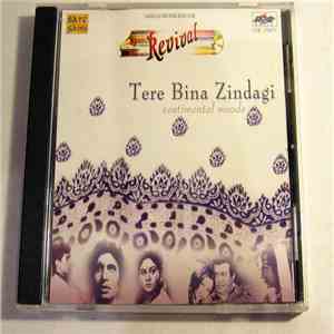Various - Tere Bina Zindagi - Sentimental Moods download flac