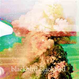 Blackbird Blackbird - Crumble Before Your Eyes download flac