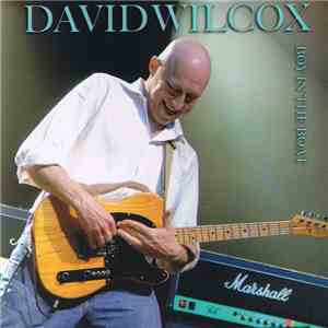 David Wilcox  - Boy In The Boat download flac