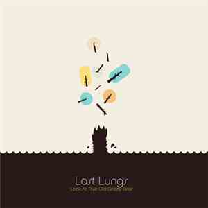 Last Lungs - Look At That Old Grizzly Bear FLAC album