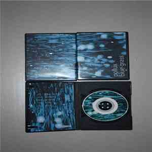 Pollux  - Blue Grass download flac