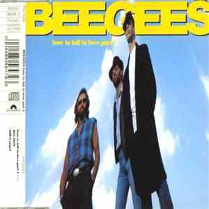 Bee Gees - How To Fall In Love Part 1 download flac