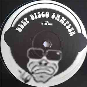 Deep Disco Sampler - In The Bush / Talking About download flac