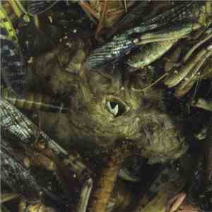 Hessian  - Mànégarmr download flac