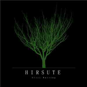 Hirsute - Still Waiting download flac