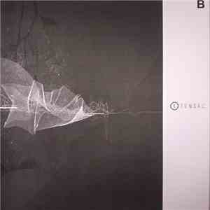 Tensal - Tensal B download flac