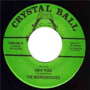 The Microgrooves - Hey You download flac