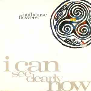 Hothouse Flowers - I Can See Clearly Now download flac