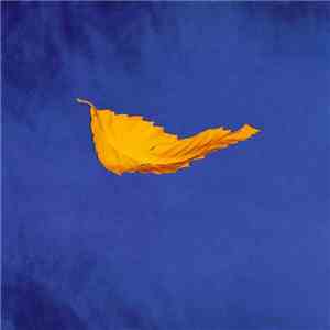New Order - True Faith download flac
