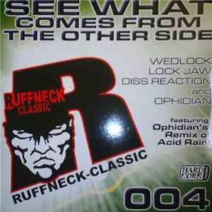 Various - See What Comes From The Other Side download flac