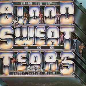 Blood, Sweat And Tears - Brand New Day download flac