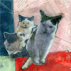 Maidenhair - Charlie's Song download flac