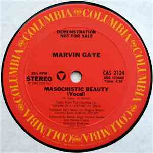 Marvin Gaye - Masochistic Beauty download flac