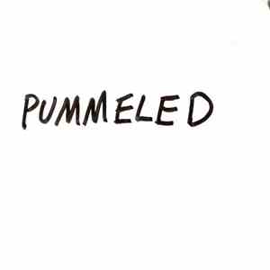 Pummeled - Pummeled download flac