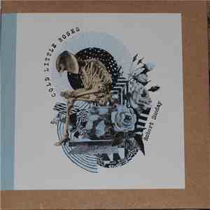 Robert Sunday - Cold Little Roses download flac