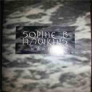 Sophie B. Hawkins - Whaler download flac