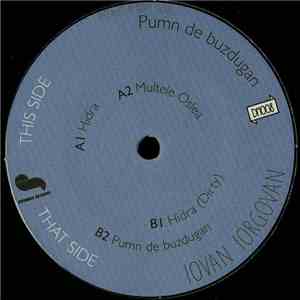 Iovan Iorgovan - Pumn De Buzdugan download flac