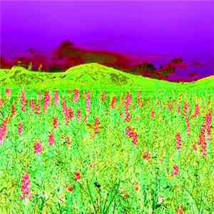 Razxca - Future Poetry download flac