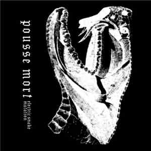 Pousse Mort - Electric Snake Mutation download flac