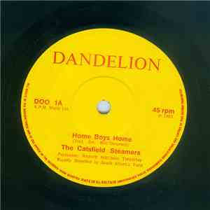The Catsfield Steamers - Home Boys Home download flac