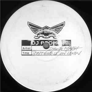 Diane Marsh - Don't Give Up On Lovin download flac