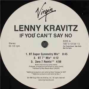 Lenny Kravitz - If You Can't Say No download flac